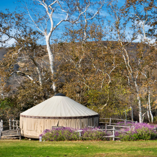 Adventure Yurt